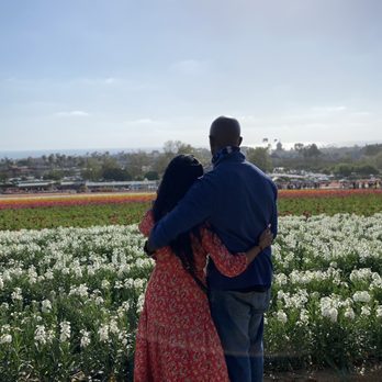 The Flower Fields - Venues & Event Spaces Near Me - Carlsbad, California The Flower Fields - Venues & Event Spaces Near Me - Carlsbad, California