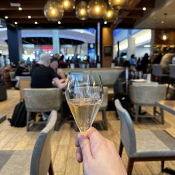 Vino Volo - Wine Bars Near Me - Austin, Texas Vino Volo - Wine Bars Near Me - Austin, Texas