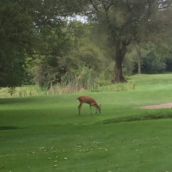 Raisin Valley Golf Club - Saw this while waiting to tee off on the 5th hole. Really quite and beautiful place - Golf Near Me - Tecumseh, Michigan Raisin Valley Golf Club - Saw this while waiting to tee off on the 5th hole. Really quite and beautiful place - Golf Near Me - Tecumseh, Michigan