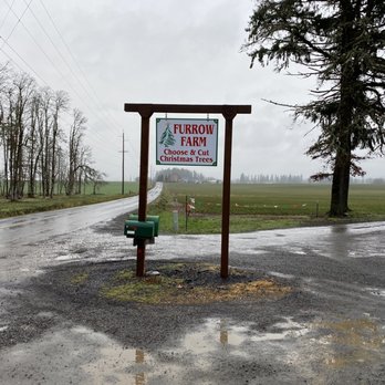 Furrow Farm - Christmas Trees Near Me - Hillsboro, Oregon Furrow Farm - Christmas Trees Near Me - Hillsboro, Oregon