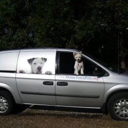 Hometown Pets - Hometown Pets van with Scout at the window. Free pick up and drop off!