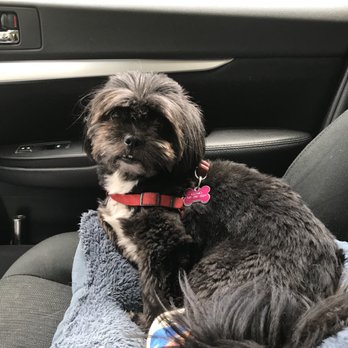 Mary's Pet Sitting - Pet Sitting Near Me - Bandon, Oregon Mary's Pet Sitting - Pet Sitting Near Me - Bandon, Oregon