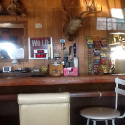 a deer head mounted on the wall