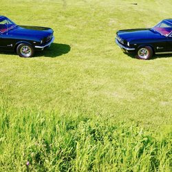Sakelaris Ford Lincoln of Camdenton - 1965 Mustangs