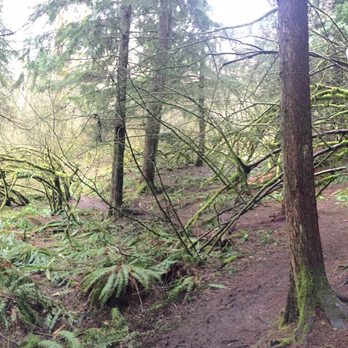 Rattlesnake Ridge - Serene - Hiking Near Me