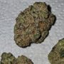 Photo of Rise Dispensaries
