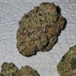 Rise Dispensaries