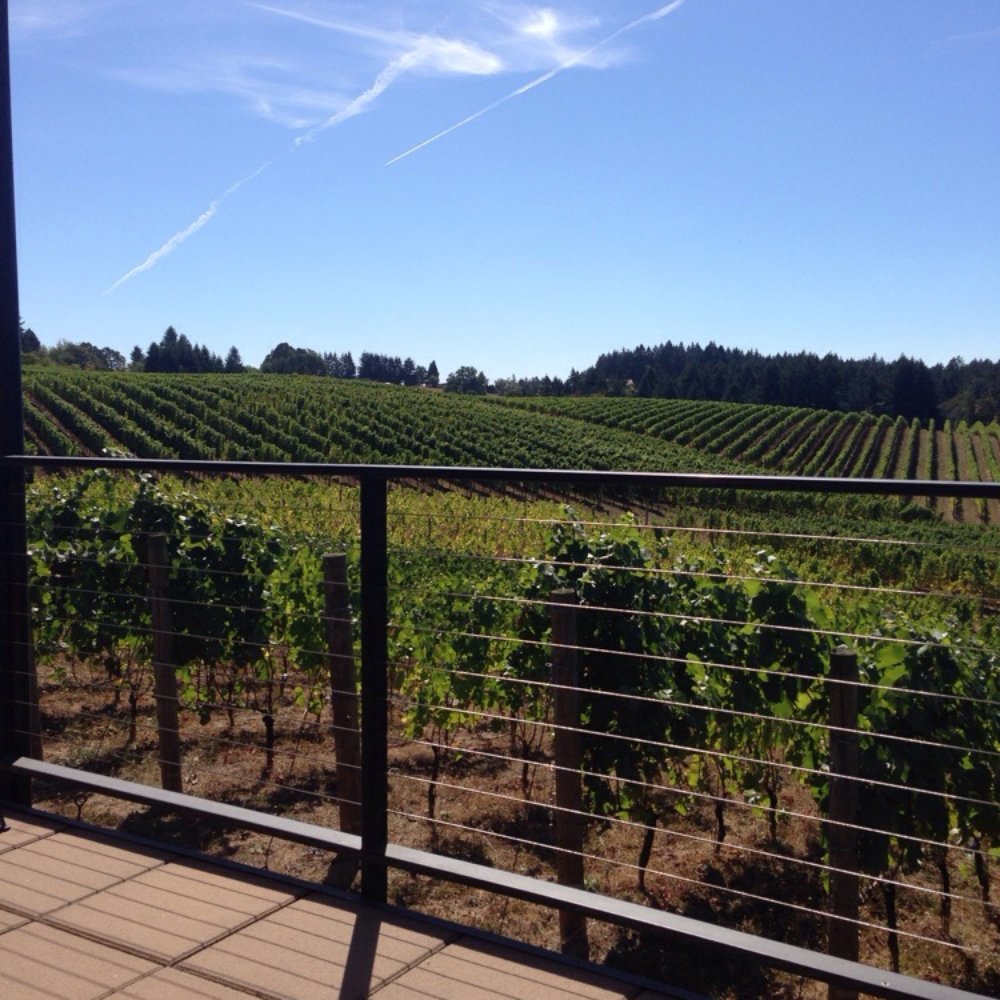 Trisaetum Winery - Sitting on the gorgeous deck! Bring your own picnic and stay awhile - Wineries Near Me - Newberg, Oregon Trisaetum Winery - Sitting on the gorgeous deck! Bring your own picnic and stay awhile - Wineries Near Me - Newberg, Oregon