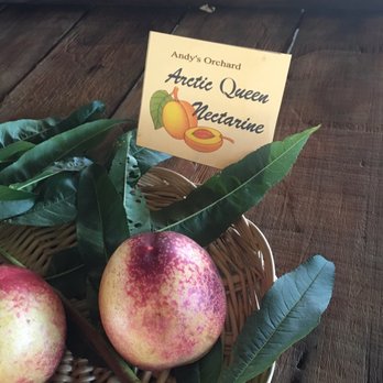 Andy's Orchard - Artic Queen Nectarines - Fruits & Veggies Near Me - Morgan Hill, California