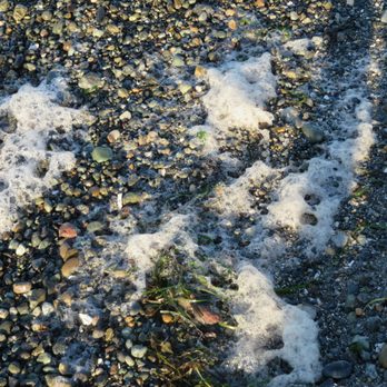 Birch Bay State Park - Parks Near Me - Blaine, Washington