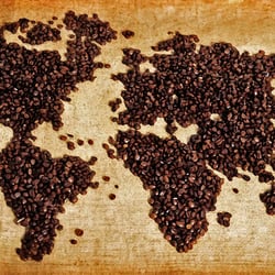 Bean and Tea Company