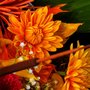 Photo of Barbara's Floral & Gift Shop