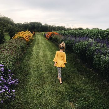 Devon Point Farm - Beautiful blooms - Farmers Market Near Me - North Stonington, Connecticut
