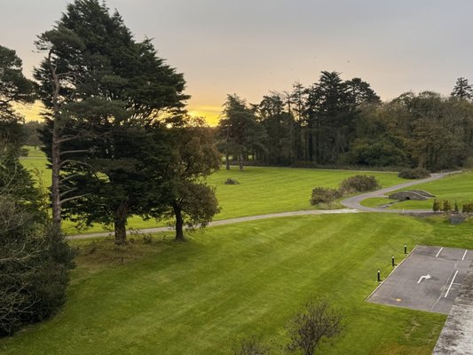 Terre Restaurant by null