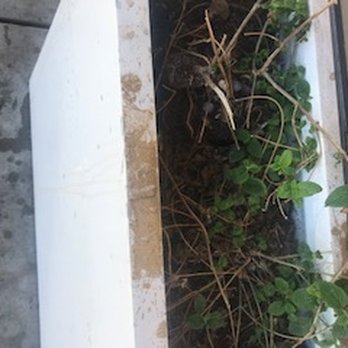 MCC Building Maintenance - Gack all over planters - Carpet Cleaning Near Me - Novato, California
