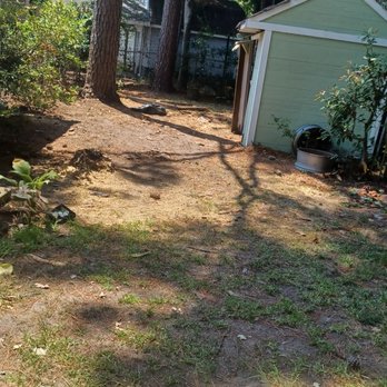 Tree Ninja Tree Service - All cleaned up. - Tree Services Near Me Tree Ninja Tree Service - All cleaned up. - Tree Services Near Me