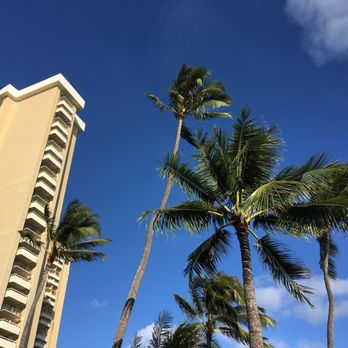 House Without A Key - A view of the blue sky - Seafood Near Me - Honolulu, Hawaii