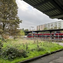 Bingen Hauptbahnhof