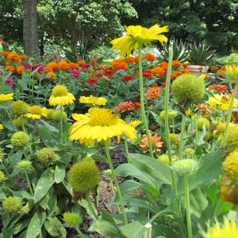 Franklin Park - Flowers - Parks Near Me - Columbus, Ohio Franklin Park - Flowers - Parks Near Me - Columbus, Ohio
