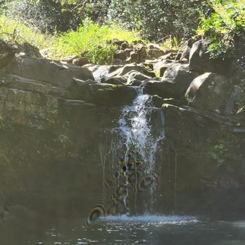 Hike Maui - Tours Near Me - Kahului, Hawaii Hike Maui - Tours Near Me - Kahului, Hawaii