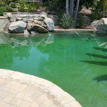 Adonis Pools - This is what the pool looks like using Adonis Pools - axoid - Pool Cleaners Near Me Adonis Pools - This is what the pool looks like using Adonis Pools - axoid - Pool Cleaners Near Me