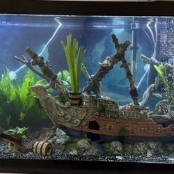KMA Aquatics
