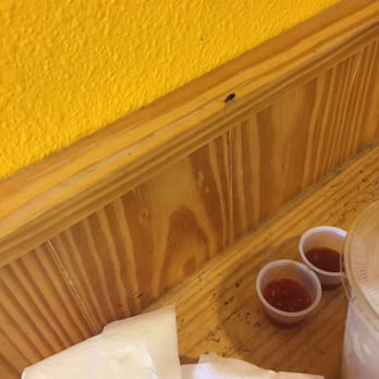 Z Counter - One of the roach companions who kept me company whilst I ate. - Asian Fusion Near Me - Corpus Christi, Texas Z Counter - One of the roach companions who kept me company whilst I ate. - Asian Fusion Near Me - Corpus Christi, Texas