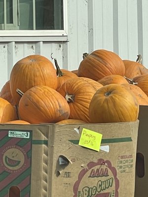 Brosi's Sugartree Farms by null