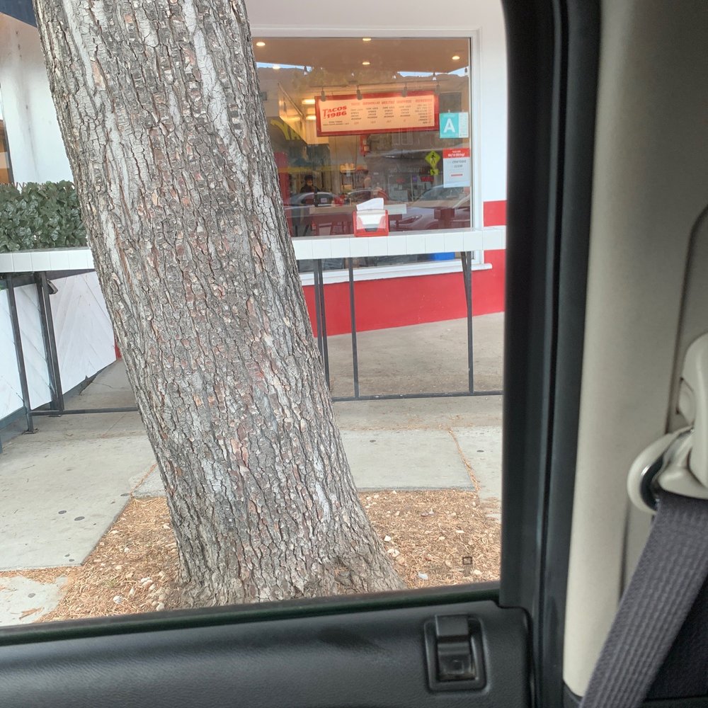 Tacos 1986 - Smug employee with bad etiquette! - Tacos Near Me - Burbank, California Tacos 1986 - Smug employee with bad etiquette! - Tacos Near Me - Burbank, California