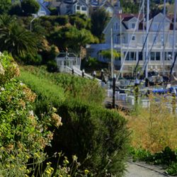 Glen Cove Marina