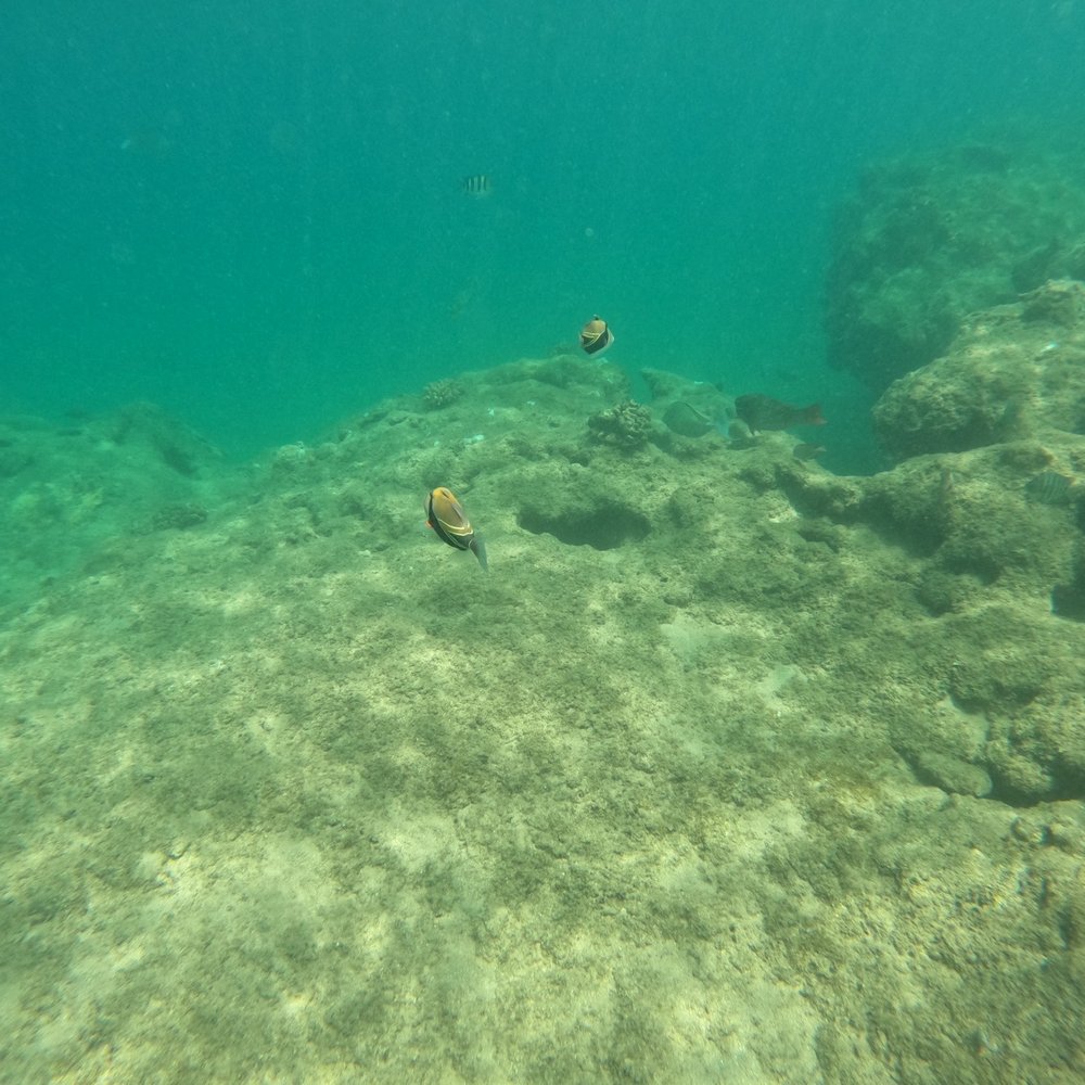 Tunnels Beach - Beaches Near Me