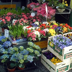Flohmarkt Immenhof - Wochenmarkt am Immenhof