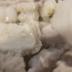 Menuderia los companzones - Menudo stilo Sinaloa