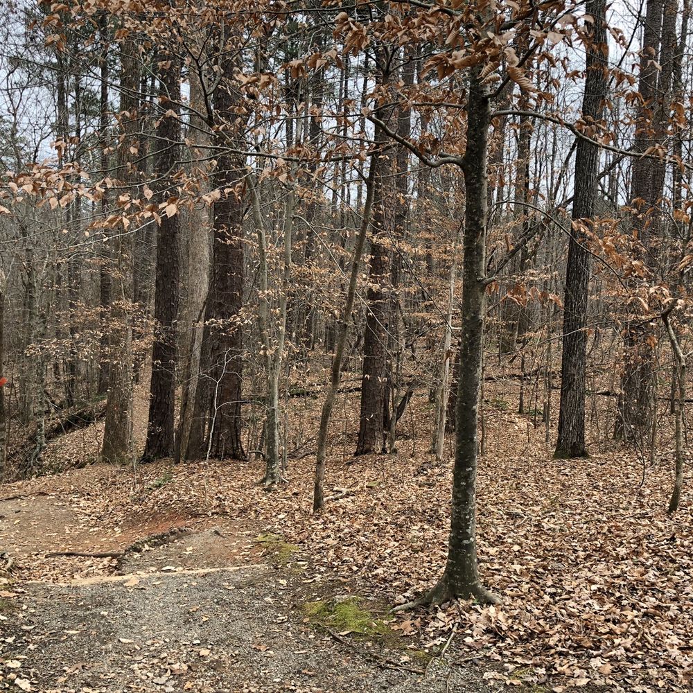William B Umstead State Park - William B. Umstead State Park - Hiking Near Me - Raleigh, North Carolina William B Umstead State Park - William B. Umstead State Park - Hiking Near Me - Raleigh, North Carolina