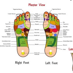 Jantala Thai Massage Spa - Foot Reflexology
