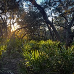 Flatwoods Trail