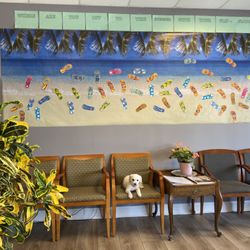 Gorman Chiropractic - Where are you off to this summer with your flip-flops? Stay well adjusted so you can have the best summer ever!
