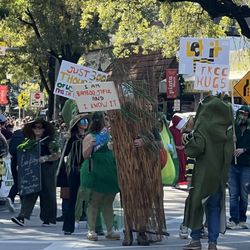 King Mango Strut