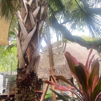 Devia Juice Bar - Juice Bars & Smoothies Near Me - Miami, Florida