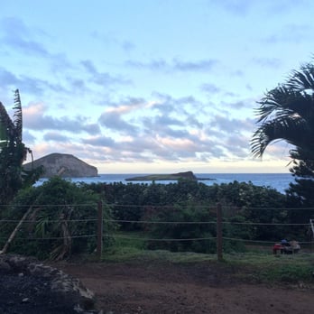 Chief's Luau - The Best! - Performing Arts Near Me - Kapolei, Hawaii