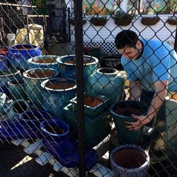 Cipriano Nursery & Florist - Pottery