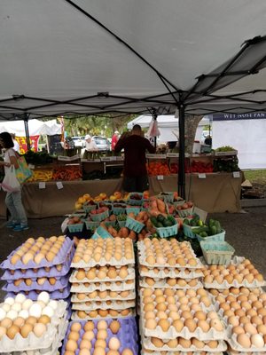 The Gardens GreenMarket by null
