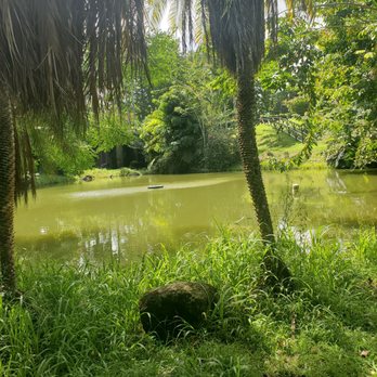 Jardin Botanico - Botanical Gardens Near Me - San Juan, Puerto Rico Jardin Botanico - Botanical Gardens Near Me - San Juan, Puerto Rico