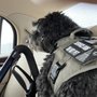 Photo of Gratitude Transportation