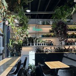 Pure Roots - Possibly the cutest coffee shop in WNY!