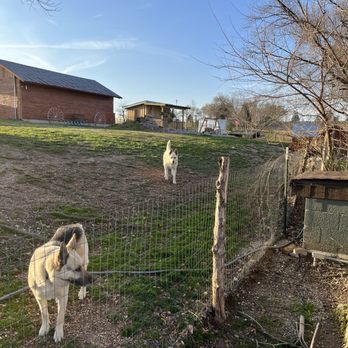 Fairway Inn - Dog Run - Hotels Near Me - Berryville, Arkansas Fairway Inn - Dog Run - Hotels Near Me - Berryville, Arkansas