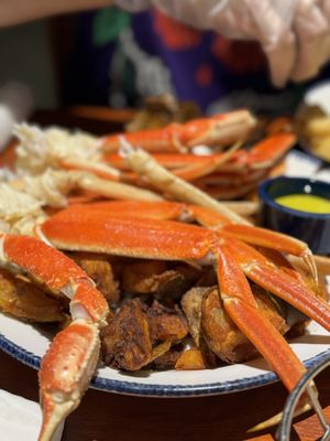Red Lobster by null