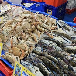 The Big Fish, Fish Market