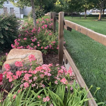 Quarry Park - Pretty flowers by picnic tables - Parks Near Me - Rocklin, California Quarry Park - Pretty flowers by picnic tables - Parks Near Me - Rocklin, California