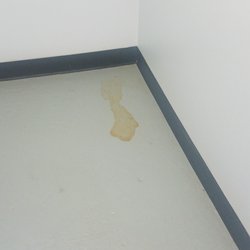 Alma Realty Corporation - Urine left in the hallway for 4 days